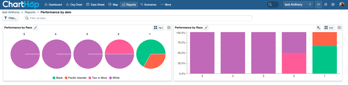 Performance review data by race
